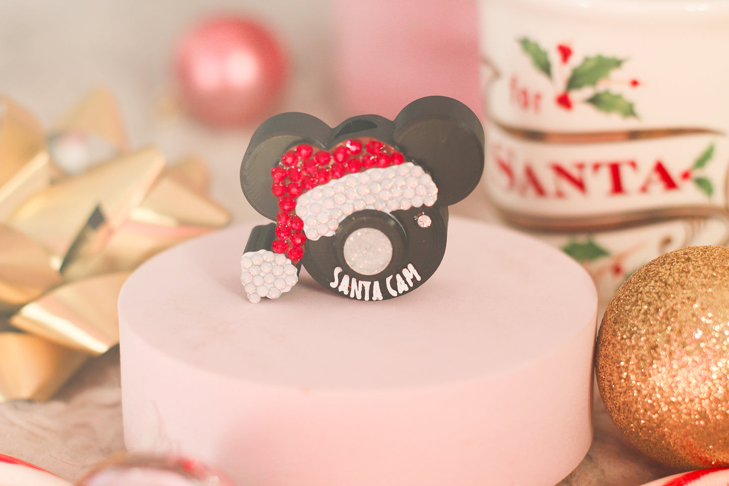 Santa Cam